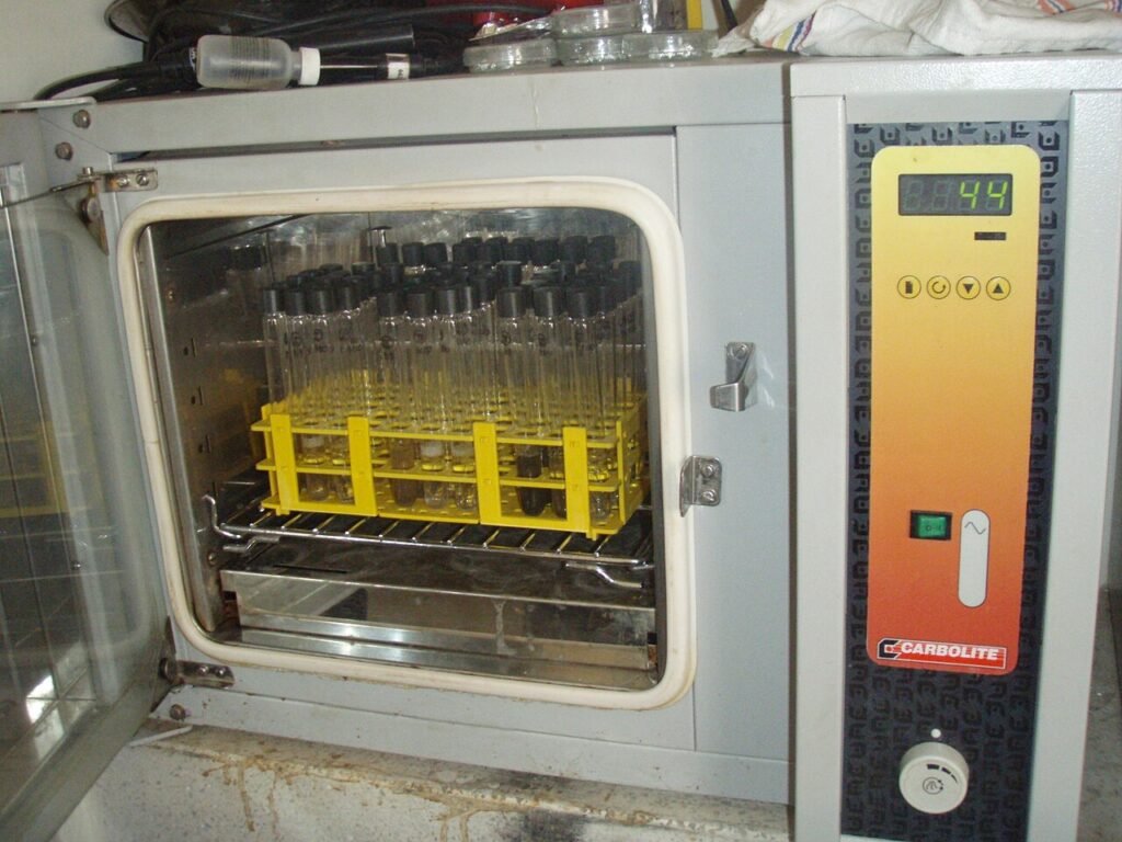 AOD-9604 e Alimentazione: Cosa Controllano Davvero gli Studi Metabolici 1 AOD-9604 e alimentazione: incubatore con provette per studi metabolici controllati in laboratorio