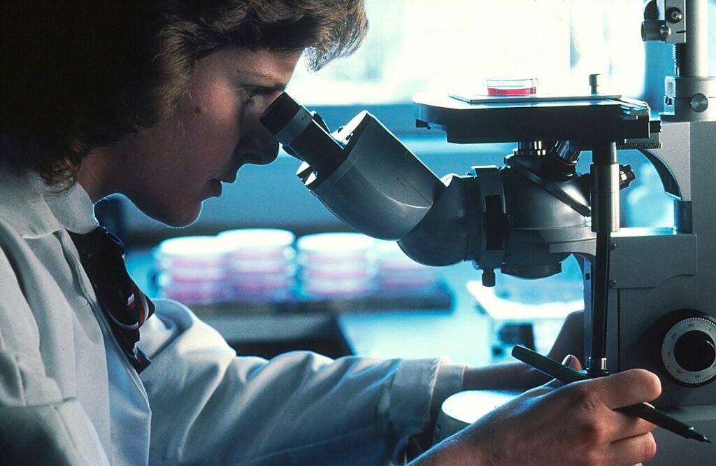 GHK-Cu e pazienti oncologici: microscopio invertito per osservazione di colture cellulari in laboratorio